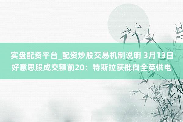 实盘配资平台_配资炒股交易机制说明 3月13日好意思股成交额前20：特斯拉获批向全英供电