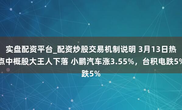 实盘配资平台_配资炒股交易机制说明 3月13日热点中概股大王人下落 小鹏汽车涨3.55%，台积电跌5%