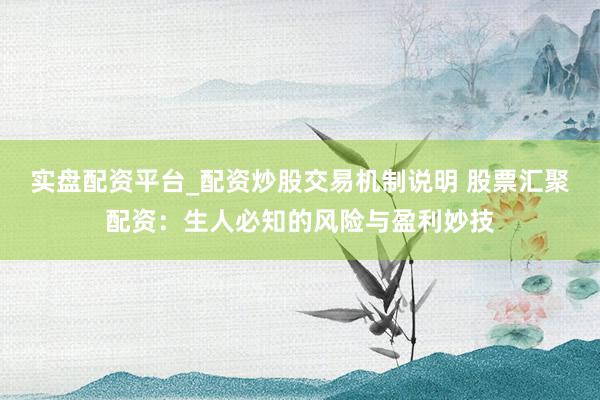 实盘配资平台_配资炒股交易机制说明 股票汇聚配资：生人必知的风险与盈利妙技